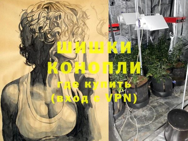 шишки Балахна