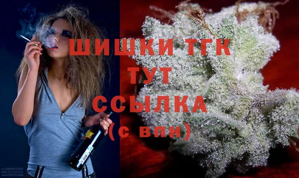 шишки Балахна
