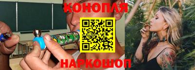 СК Гатчина
